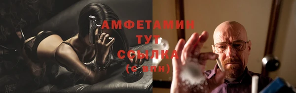 ECSTASY Богородицк