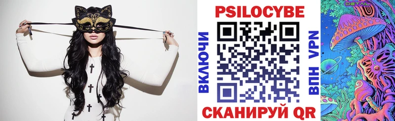 как найти   Высоцк  Галлюциногенные грибы Psilocybe 